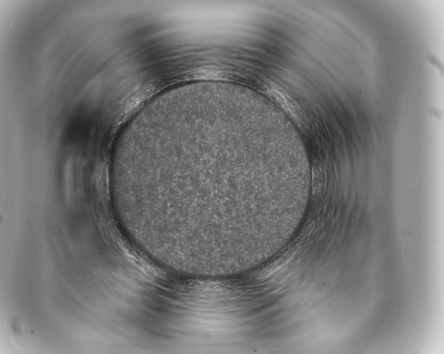 X0000094960349200712271724