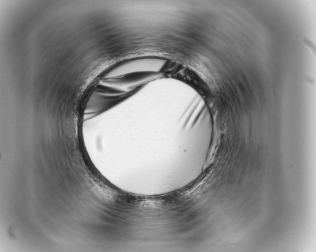 X0000094960350200712271724