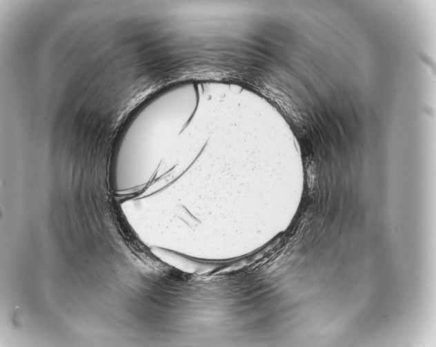 X0000094960352200712271724