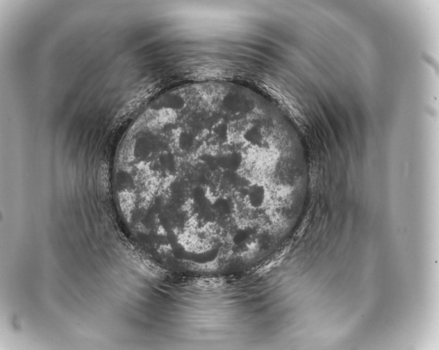 X0000094960353200712271724