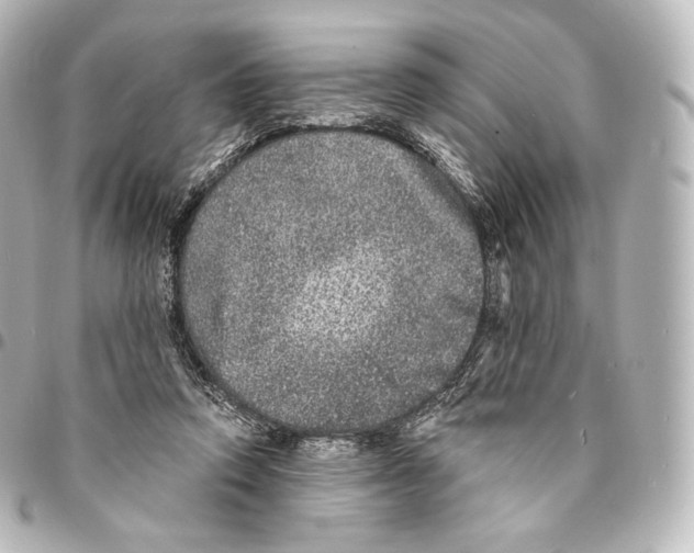 X0000094960354200712271724