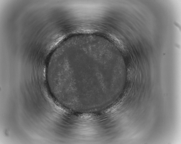 X0000094960358200712271724