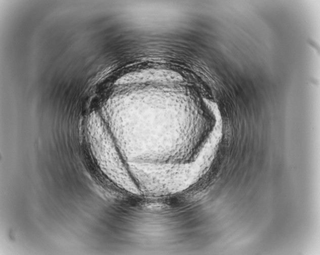 X0000094960360200712271724