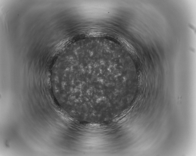 X0000094960361200712271724