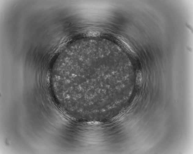 X0000094960363200712271725