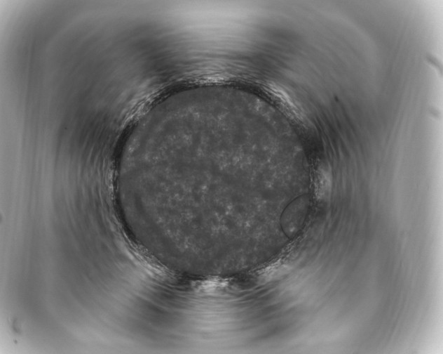 X0000094960366200712271725