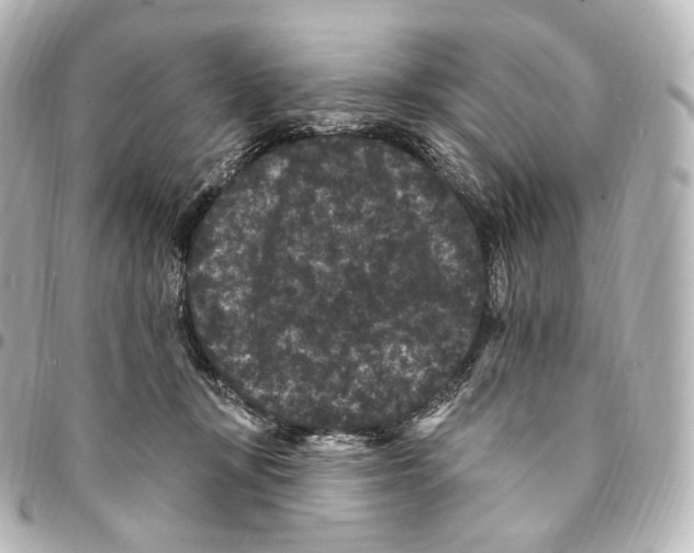 X0000094960367200712271725