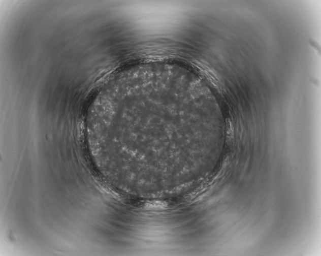 X0000094960369200712271725