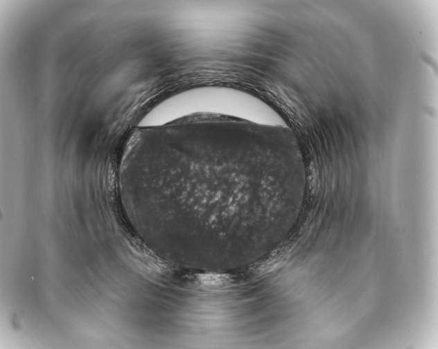 X0000094960371200712271725