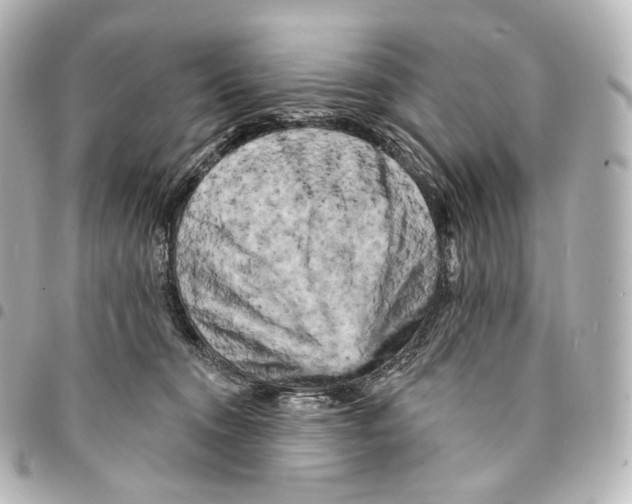 X0000094960372200712271725
