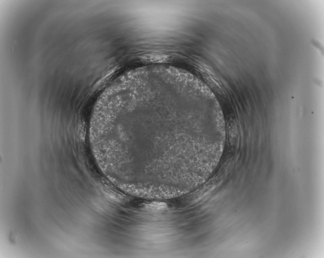X0000094960374200712271725