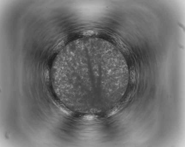 X0000094960375200712271725
