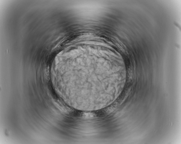 X0000094960376200712271725