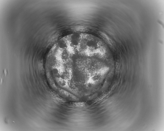 X0000094960377200712271725