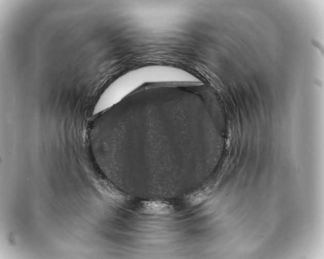 X0000094960380200712271725