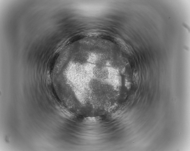 X0000094960381200712271725