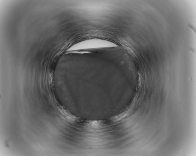 X0000094960382200712271725
