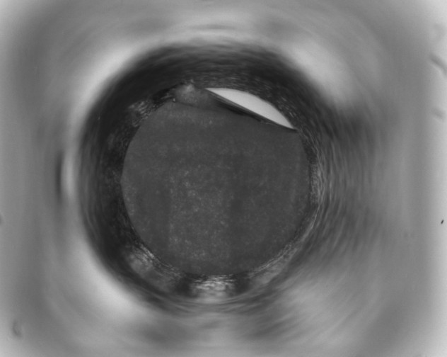 X0000094960383200712271725