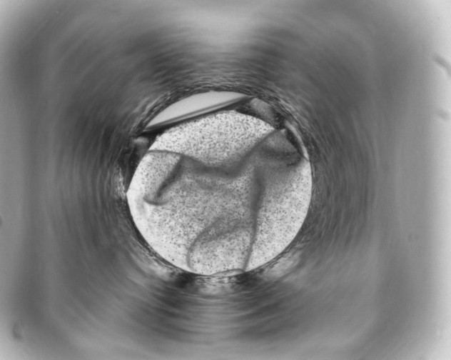 X0000094960384200712271725