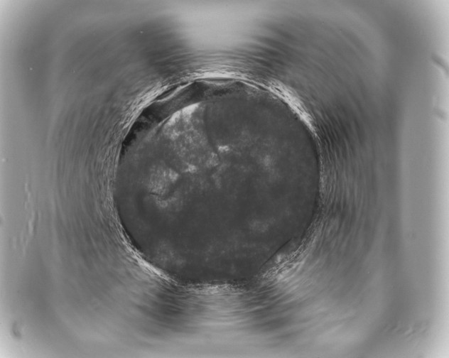X0000094960385200712271724