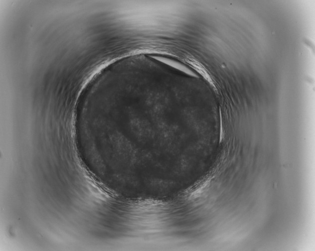 X0000094960387200712271724