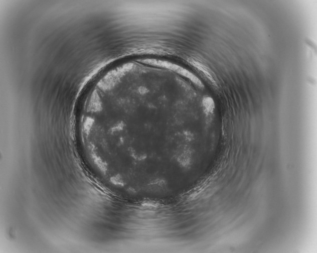 X0000094960388200712271724