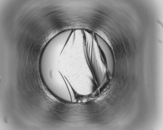 X0000094960389200712271724