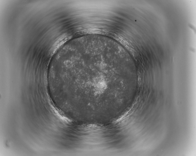 X0000094960390200712271724