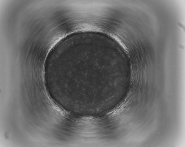 X0000094960391200712271724