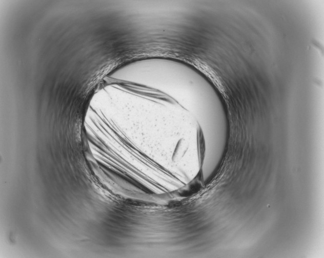 X0000094960393200712271724