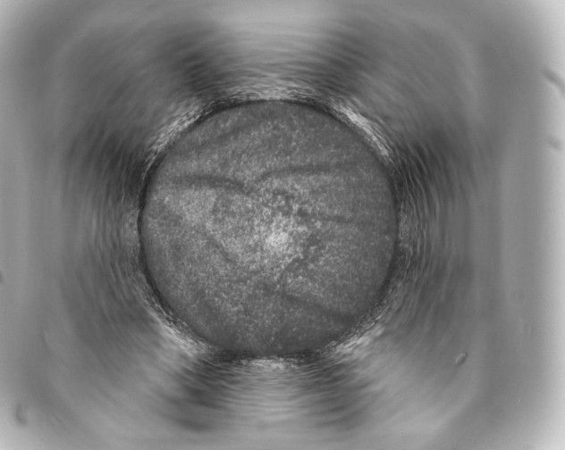 X0000094960394200712271724