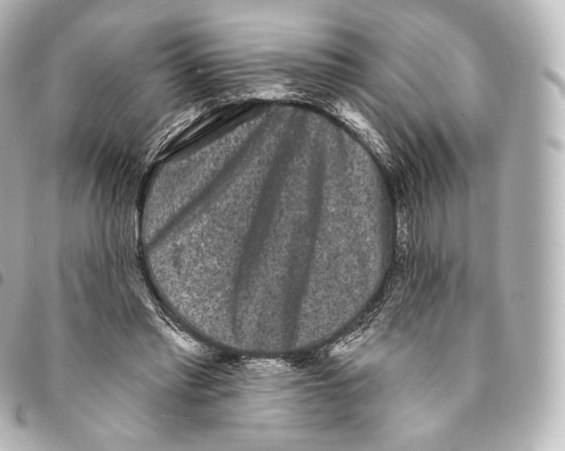 X0000094960397200712271724
