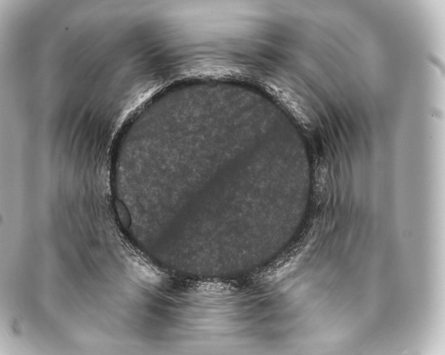 X0000094960399200712271724