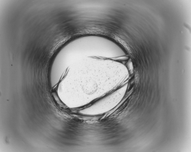 X0000094960403200712271724