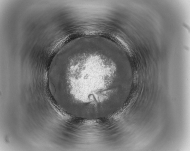 X0000094960405200712271724