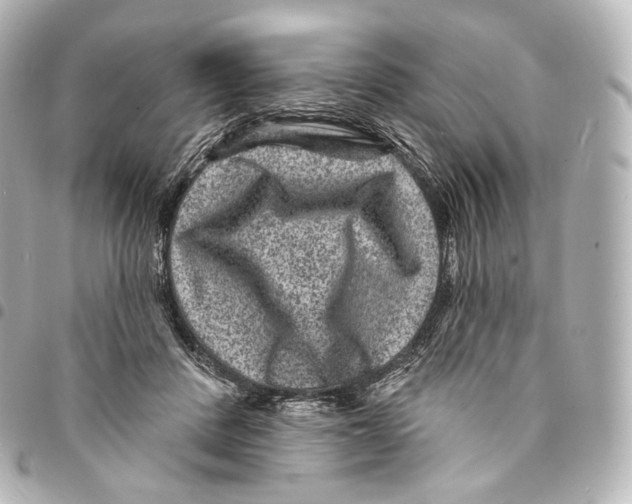 X0000094960408200712271724