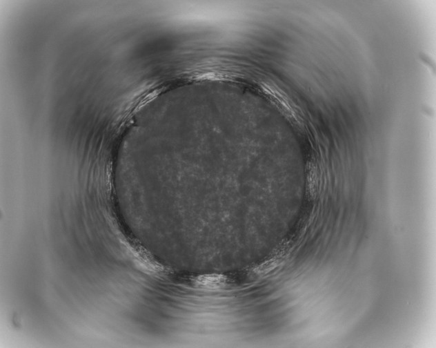X0000094960410200712271724