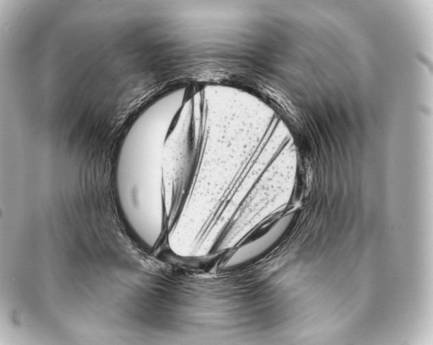 X0000094960411200712271724