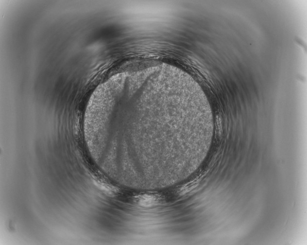 X0000094960412200712271724