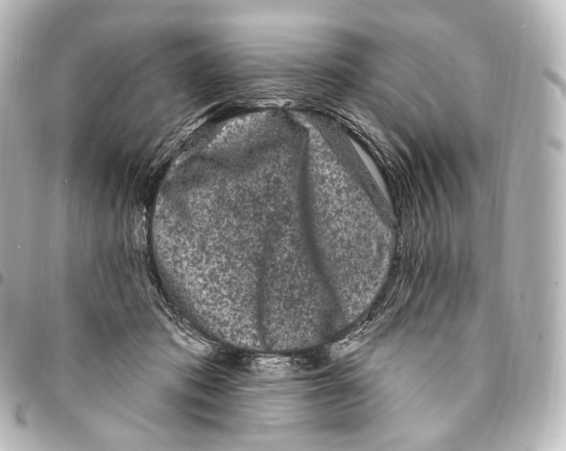 X0000094960413200712271724