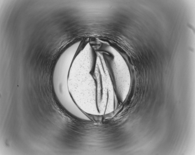 X0000094960415200712271724