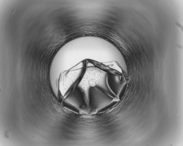 X0000094960417200712271724