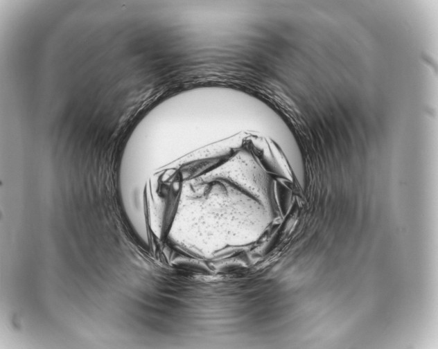 X0000094960419200712271724