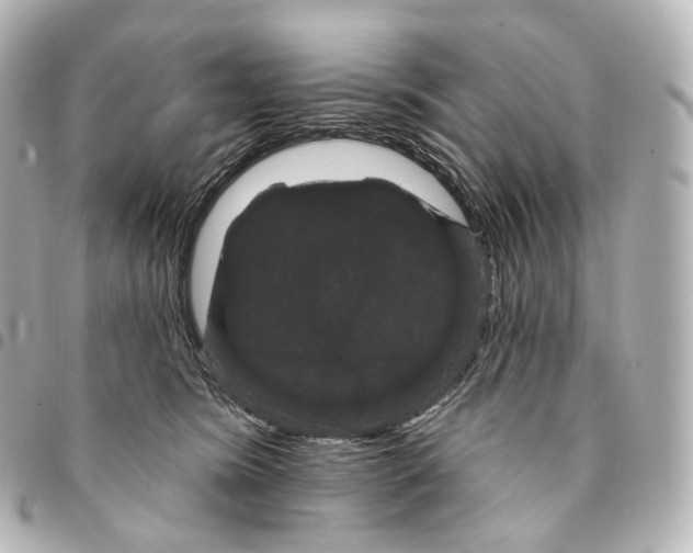 X0000094960420200712271724