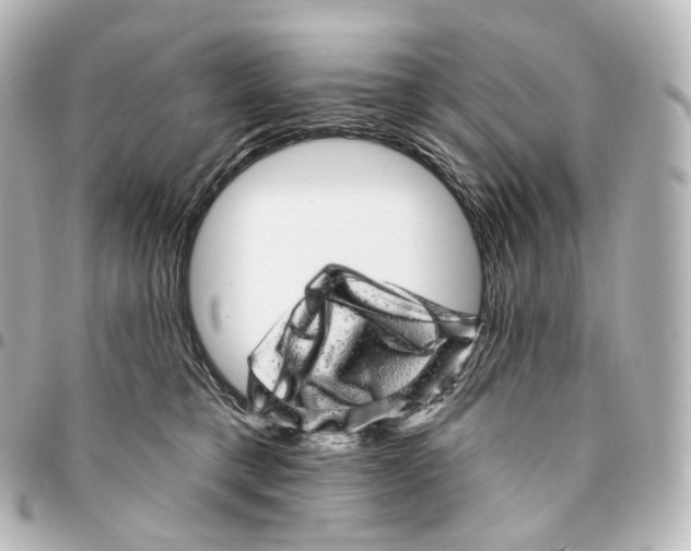 X0000094960421200712271724