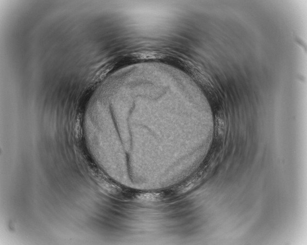 X0000094960422200712271724