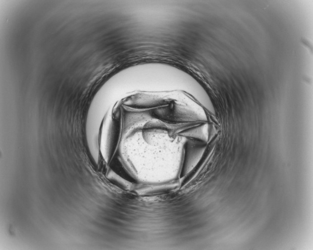 X0000094960423200712271724