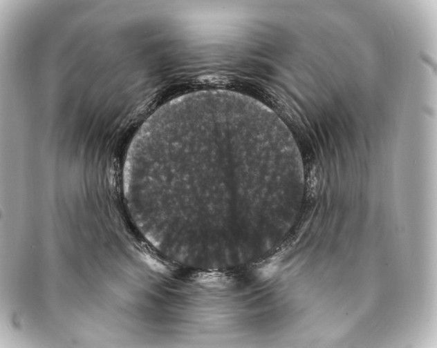 X0000094960424200712271724