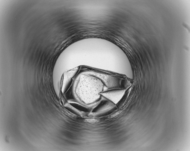 X0000094960425200712271724