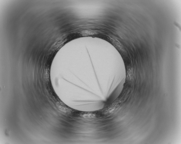 X0000094960426200712271724